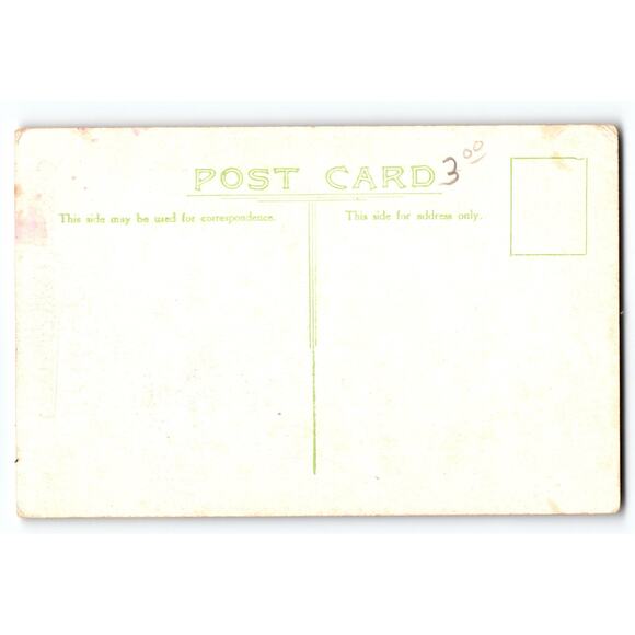 Vintage Crossbill Bird Newfoundland Lithograph Postcard with Call Note - Picture 2 of 2